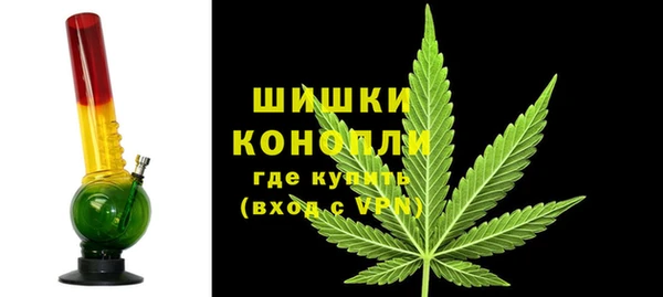 гидра Алексеевка
