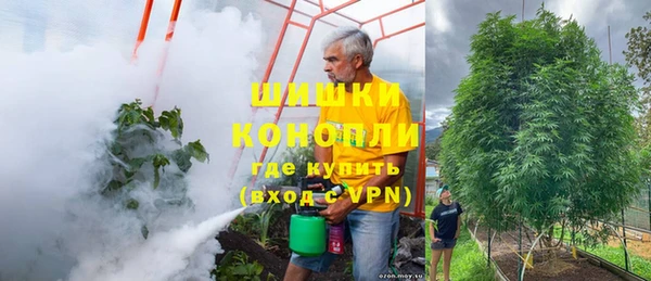 дурь Алзамай
