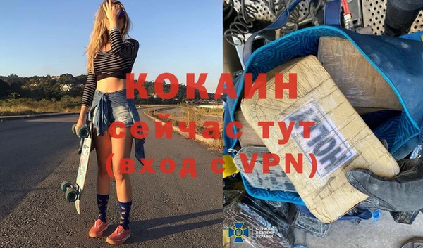 гидра Алексеевка