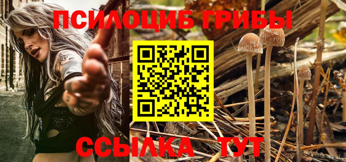 Псилоцибиновые грибы Magic Shrooms  Вход с VPN  Джанкой 