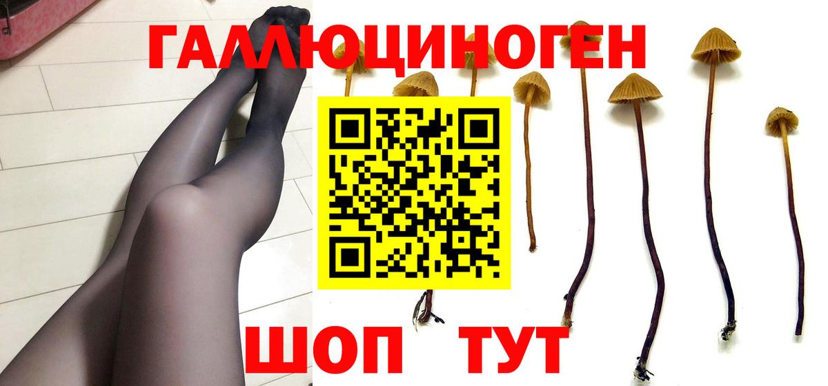 Галлюциногенные грибы MAGIC MUSHROOMS Джанкой