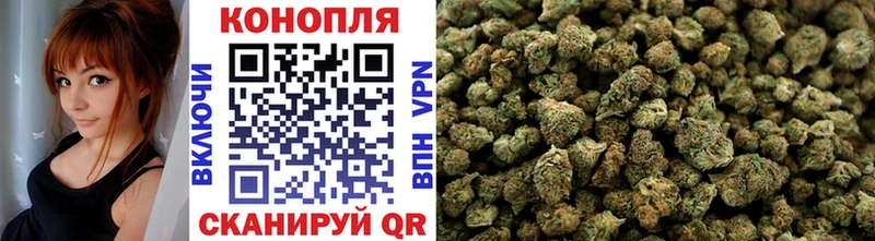 Бошки марихуана OG Kush  Джанкой 